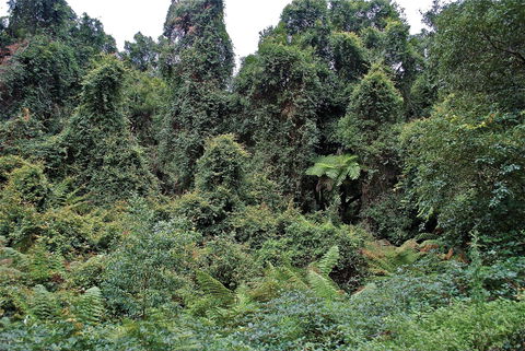 Lind National Park - Accommodation Newcastle 1