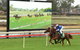 Manning Valley Race Club - thumb 0