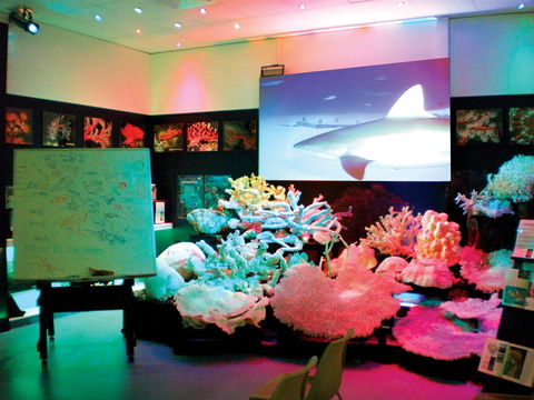Marine Discovery Centre Hastings Point - Accommodation Newcastle 0