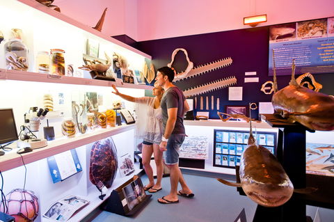 Marine Discovery Centre Hastings Point - Accommodation Newcastle 1