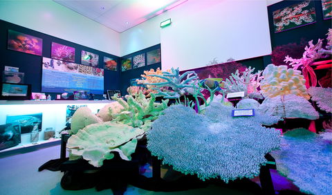 Marine Discovery Centre Hastings Point - Accommodation Newcastle 2