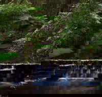 Millards Creek Walk and Cycleway - Accommodation Newcastle