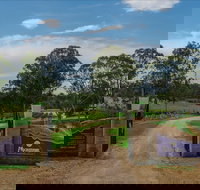 Moorebank Vineyard - Accommodation Newcastle