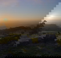 Mudgeeraba - Accommodation Newcastle