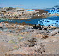 Nanarup Beach - Accommodation Newcastle