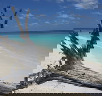 North West Island - Accommodation Newcastle