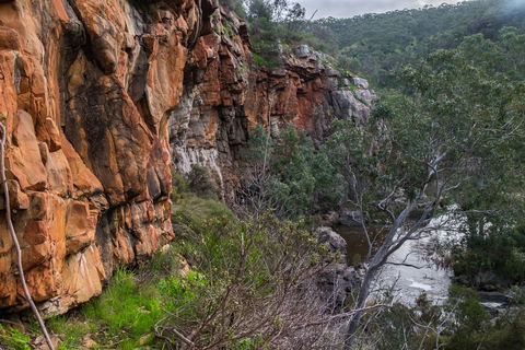 Onkaparinga River National Park - Accommodation Newcastle 1