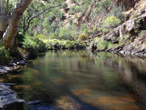 Onkaparinga River National Park - Accommodation Newcastle 2