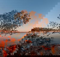 Peery Lake - Accommodation Newcastle