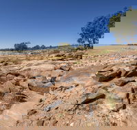 Peery Lake picnic area - Accommodation Newcastle
