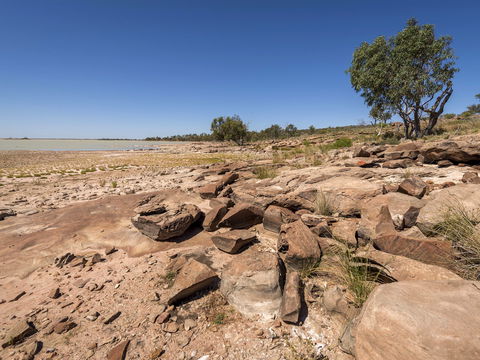 Peery Lake Picnic Area - Accommodation Newcastle 0