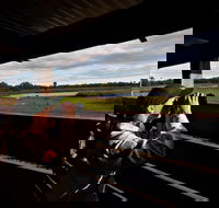 Reed Beds Bird Hide Boardwalk - Accommodation Newcastle