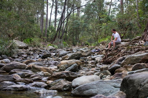 Rocksberg Park Heritage Reserve - Accommodation Newcastle 0