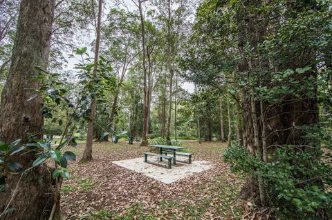 Rocksberg Park Heritage Reserve - Accommodation Newcastle 1