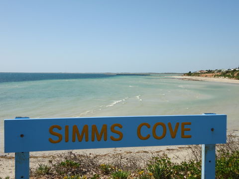 Simms Cove Lookout And Beach, Moonta Bay - Accommodation Newcastle 0