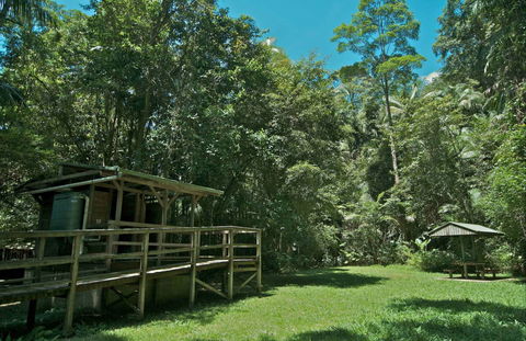 Terania Creek Picnic Area - Accommodation Newcastle 0