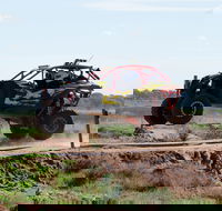 Turbo Buggy Ride - Accommodation Newcastle