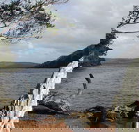 Walpole-Nornalup Inlet - Accommodation Newcastle