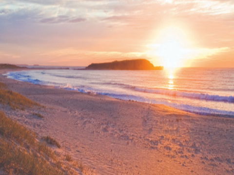 Warilla Beach: Shellharbour - Accommodation Newcastle 0