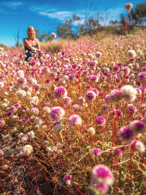 Wineries And Wildflowers - Accommodation Newcastle 0