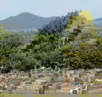 Yackandandah Cemetery - Accommodation Newcastle