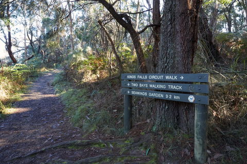 Arthurs Seat To Kings Falls Walk - Accommodation Newcastle 0