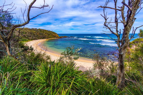 Bendalong (Inyadda) Beach - Accommodation Newcastle 0