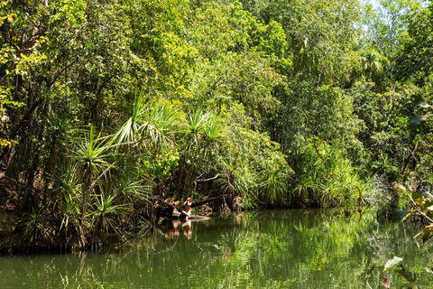Berry Springs Nature Park - Accommodation Newcastle 0
