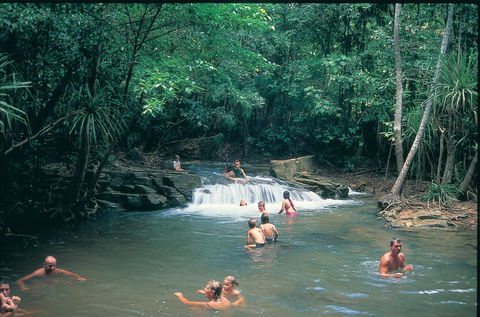 Berry Springs Nature Park - Accommodation Newcastle 1