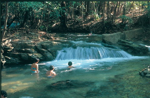 Berry Springs Nature Park - Accommodation Newcastle 2