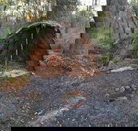 Bindjareb Cultural Park - Accommodation Newcastle