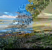 Black Oaks Picnic Area - Accommodation Newcastle