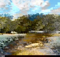 Brunswick River Picnic Area - Accommodation Newcastle