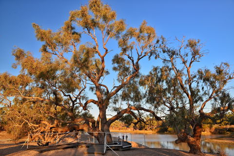 Burke And Wills Dig Tree - Accommodation Newcastle 0