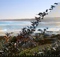 Cape Conran Coastal Park - Accommodation Newcastle
