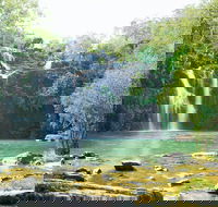 Cedar Creek Falls - Accommodation Newcastle