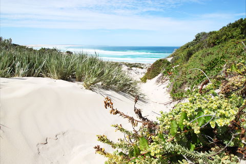Coffin Bay National Park - Accommodation Newcastle 1