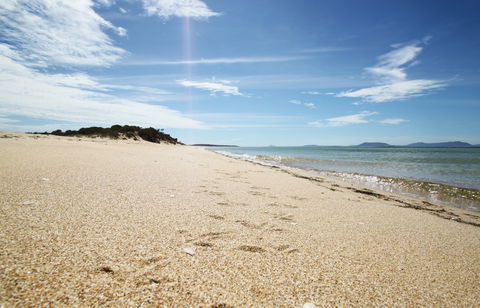 Coffin Bay National Park - Accommodation Newcastle 2