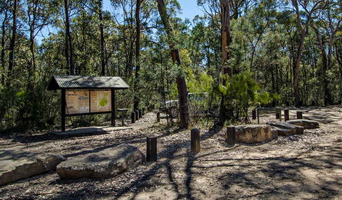 Couridjah Corridor Walk - Accommodation Newcastle 0