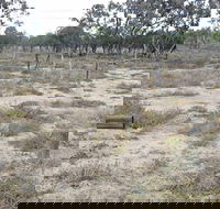 Culgoa Connellys Track - Accommodation Newcastle
