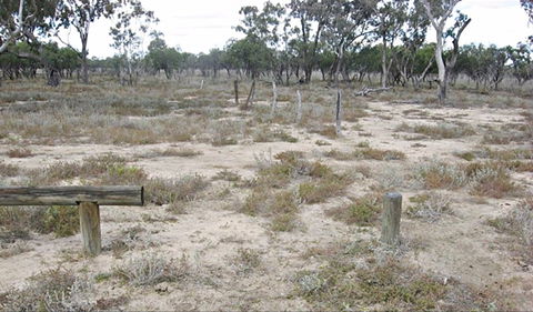 Culgoa Connellys Track - Accommodation Newcastle 0