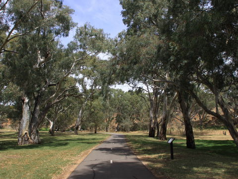 Dead Mans Pass - Accommodation Newcastle 0