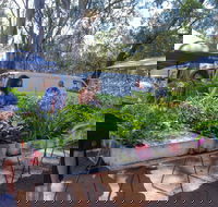 Fernvale Country Markets - Accommodation Newcastle