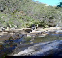 Frere's Crossing Bushwalk - Accommodation Newcastle