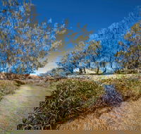 Freshwater Creek Track Byfield National Park - Accommodation Newcastle