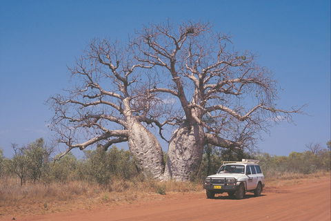 Gibb River Road - Accommodation Newcastle 2