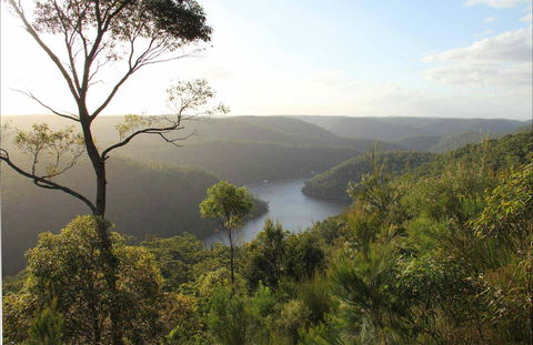 Great North Walk - Berowra Valley National Park - Accommodation Newcastle 0