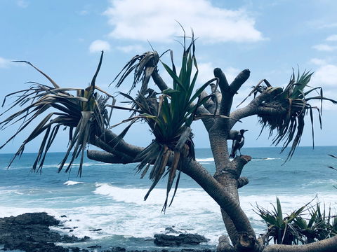 Hastings Point Beach - Accommodation Newcastle 0