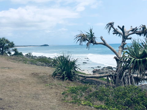 Hastings Point Beach - Accommodation Newcastle 1