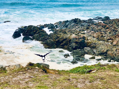 Hastings Point Beach - Accommodation Newcastle 2